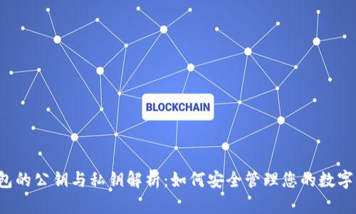 钱包的公钥与私钥解析：如何安全管理您的数字资产
