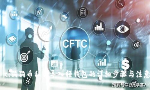 biao ti狗狗币私钥导入轻钱包的详细步骤与注意事项