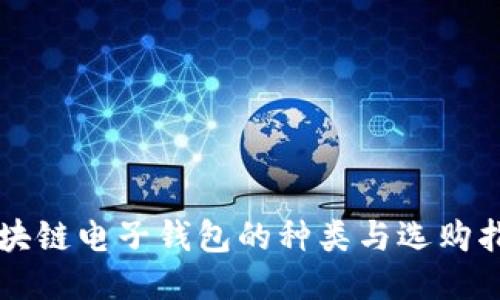 区块链电子钱包的种类与选购指南