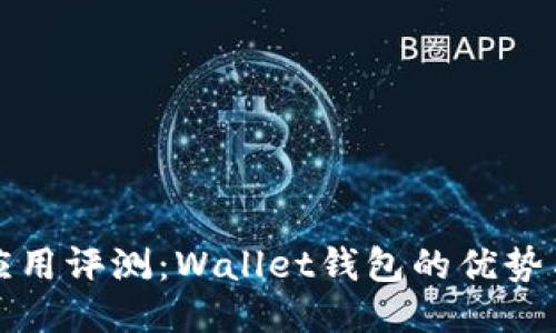 钱包应用评测：Wallet钱包的优势与不足