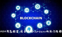 ADA钱包推荐：适合存储C