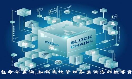 钱包命令查询：如何高效管理和查询您的数字资产