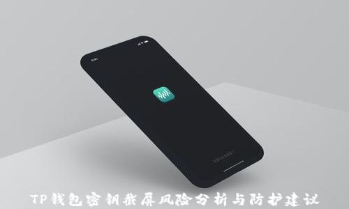 
TP钱包密钥截屏风险分析与防护建议