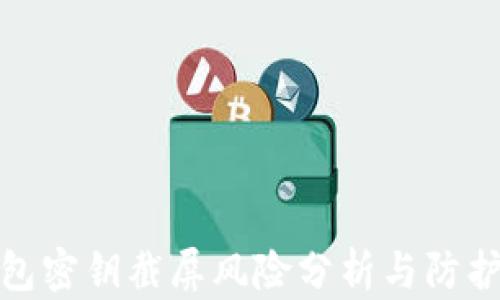 
TP钱包密钥截屏风险分析与防护建议