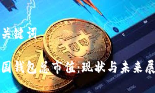 和关键词

中国钱包总市值：现状与未来展望