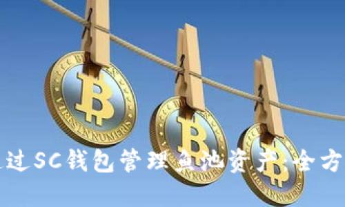 如何通过SC钱包管理鱼池资产：全方位指南