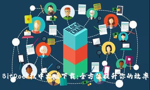 BitDock栏中文版下载：全方位提升你的效率