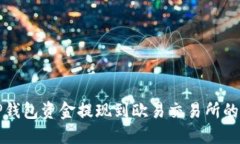 如何将TP钱包资金提现到欧