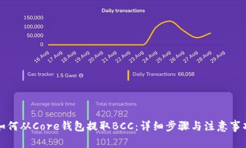 如何从Core钱包提取BCC：详细步骤与注意事项