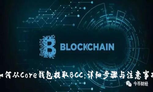 如何从Core钱包提取BCC：详细步骤与注意事项