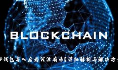 TP钱包导入后为何没有币？