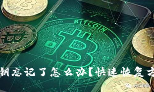 TP钱包密钥忘记了怎么办？快速恢复方法全解析
