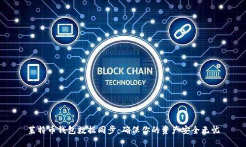 莱特币钱包数据同步：确保你的资产安全无忧