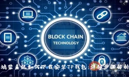 鸿蒙系统如何下载安装TP钱包：详细步骤解析