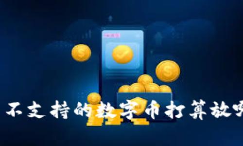 钱包不支持的数字币打算放哪里？