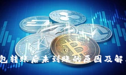  TP钱包转账后未到账的原因及解决方案