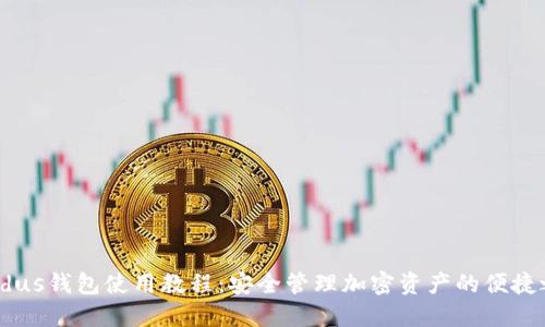 Exodus钱包使用教程：安全管理加密资产的便捷之选