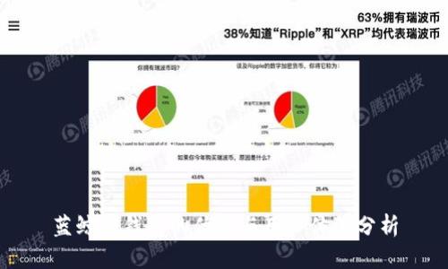 蓝鲸淘钱包的优势与用户体验分析