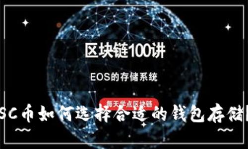 SC币如何选择合适的钱包存储？