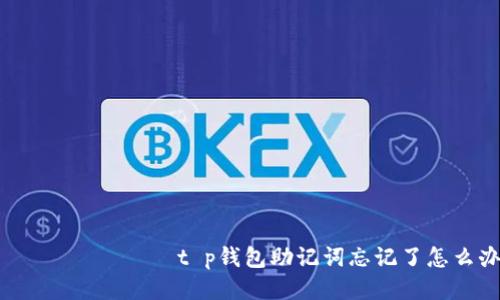  районе t p钱包助记词忘记了怎么办？