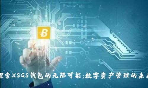 探索XSGS钱包的无限可能：数字资产管理的未来