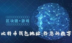 如何快速查询比特币钱包