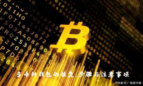 多币种钱包的恢复：步骤与注意事项