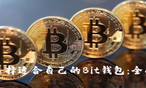如何选择适合自己的Bit钱包：全面指南