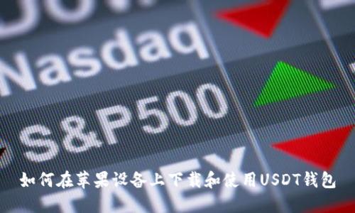 如何在苹果设备上下载和使用USDT钱包