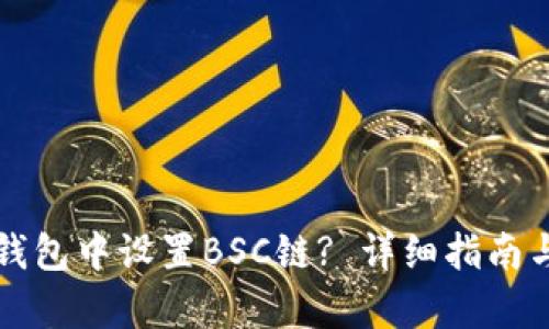 如何在TP钱包中设置BSC链? 详细指南与步骤分析