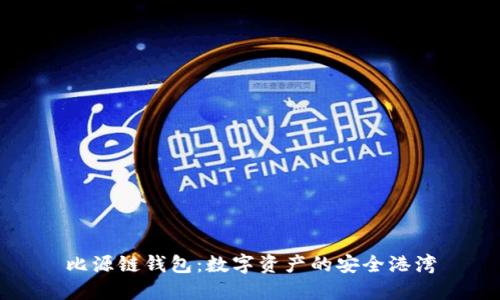 比源链钱包：数字资产的安全港湾