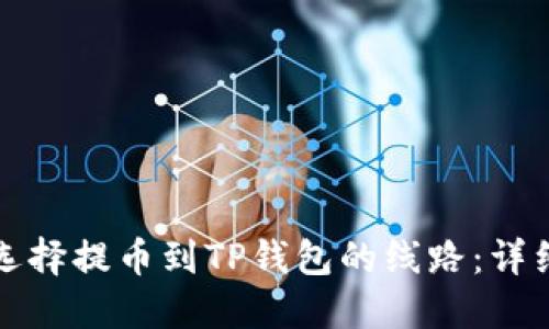 如何选择提币到TP钱包的线路：详细指南