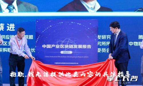 抱歉，我无法提供此类内容的具体指导。