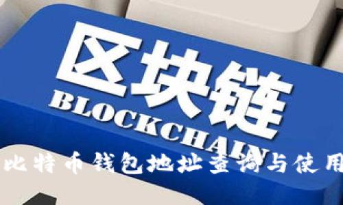中国比特币钱包地址查询与使用指南