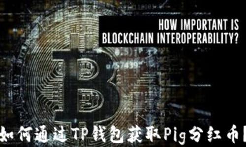 
如何通过TP钱包获取Pig分红币？