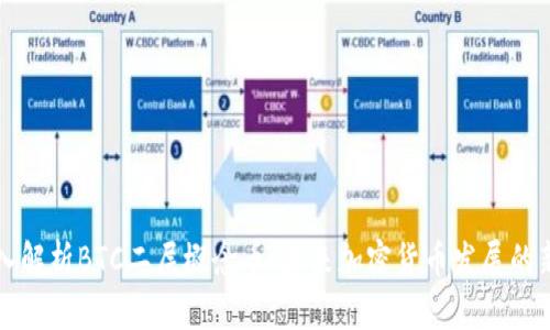 深入解析BTC二层概念币：未来加密货币发展的新宠