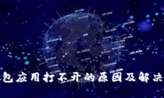 TP钱包应用打不开的原因及