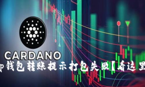 tp钱包转账提示打包失败？看这里！