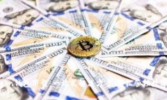 Polygon钱包下载：一站式解