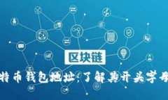 探索莱特币钱包地址：了