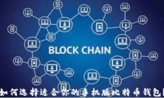 如何选择适合你的手机版