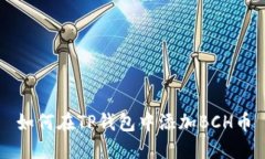 如何在TP钱包中添加BCH币