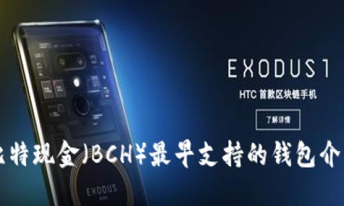 比特现金（BCH）最早支持的钱包介绍