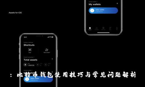 : 比特币钱包使用技巧与常见问题解析