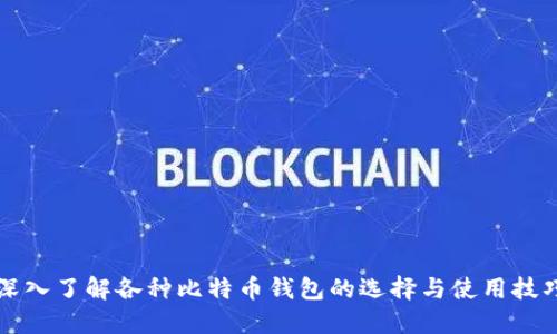 深入了解各种比特币钱包的选择与使用技巧