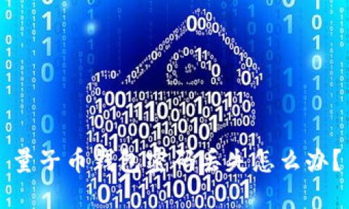 量子币钱包密码丢失怎么办？