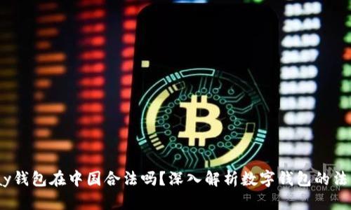 808pay钱包在中国合法吗？深入解析数字钱包的法律地位