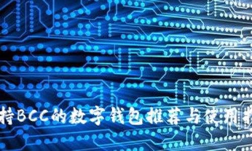 支持BCC的数字钱包推荐与使用指南