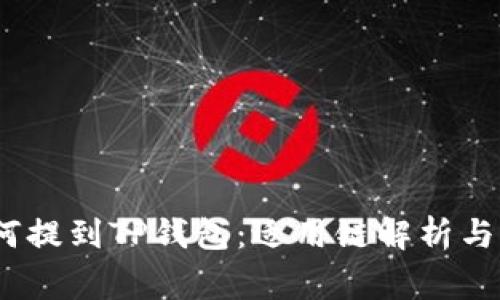 Pig币如何提到TP钱包：适用链解析与操作指南